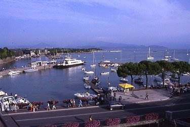 Photo 44